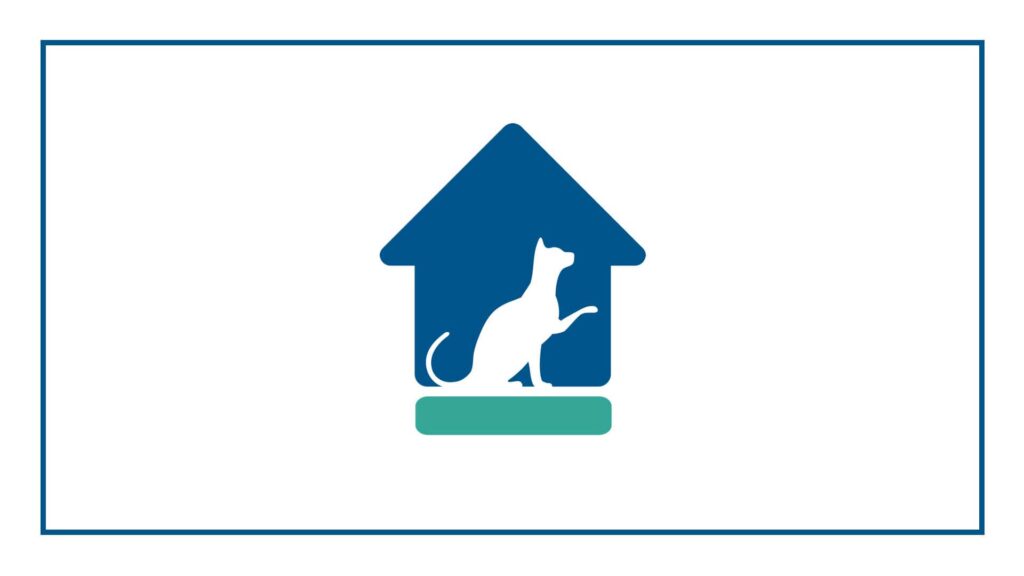 toronto-cat-rescue-volunteer-centre